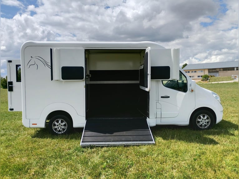 Pferdetransporter Renault Master Automatik Nur 35.300KM 170 PS Viehtransporter Selbstfahrer
