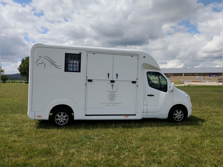 Pferdetransporter Renault Master Automatik Nur 35.300KM 170 PS Viehtransporter Selbstfahrer
