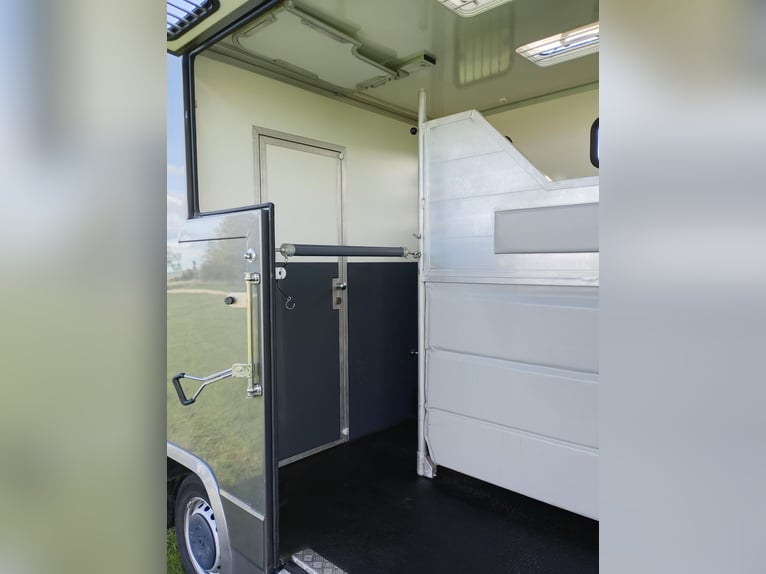 Pferdetransporter Renault Nur 20.800KM Klima Tempomat Navigation Euro 6 Viehtransporter Selbstfahrer
