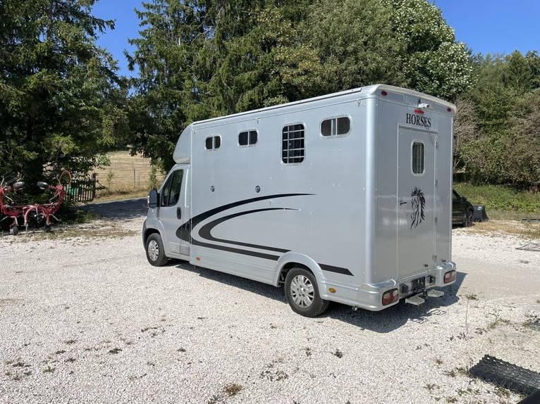 Pferdetransporter / Selbstfahrer Peugeot Equi-Trek Sonic zu verkaufen