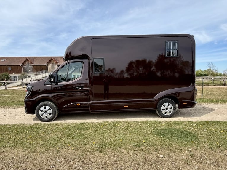 Renault 2-Pferdetransporter 5-Sitzer Hengstausstattung Automatik LKW NEU - Sofort verfügbar