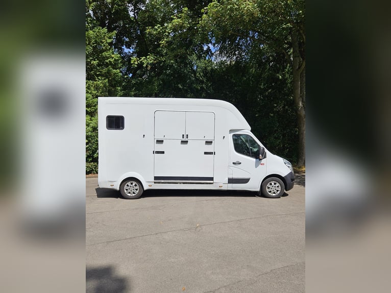 Renault Master,  3,5t,   Transporter für 2 Pferde