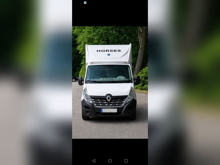 Renault Master,  3,5t,   Transporter für 2 Pferde