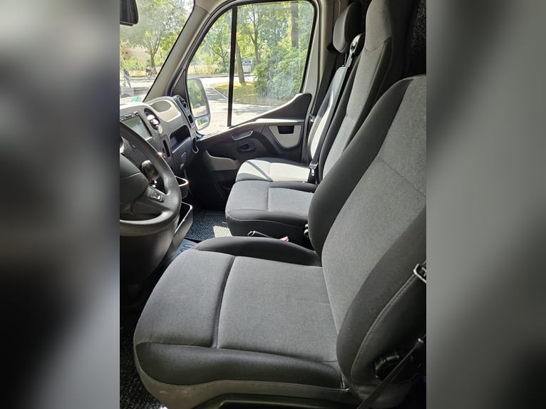 Renault Master,  3,5t,   Transporter für 2 Pferde