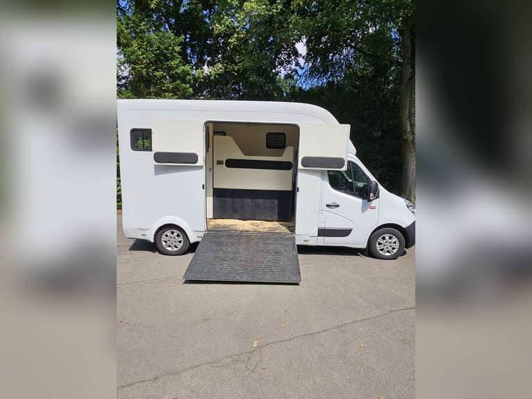 Renault Master,  3,5t,   Transporter für 2 Pferde