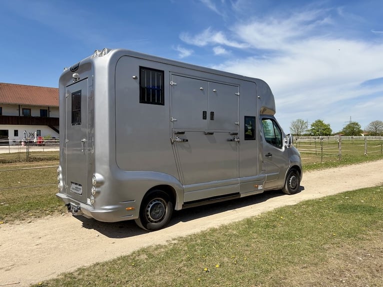 Renault Master EQUITA 2-Pferdetransporter 5-Sitzer Automatik - Gebrauchtfahrzeug