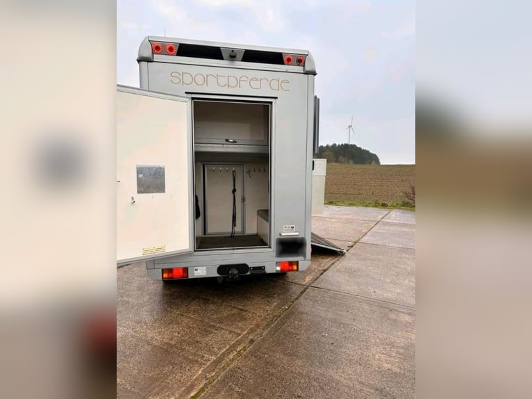 Renault Master Pferdetransporter gebraucht