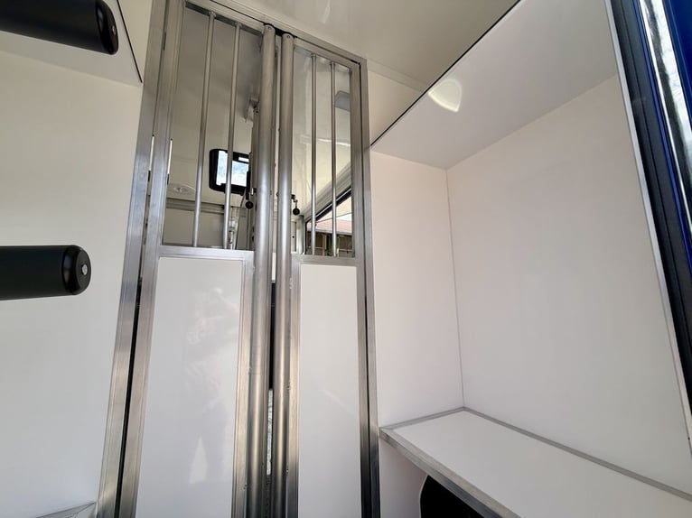 Renault Master RJH Sport 2-Pferdetransporter – neues Modell mit Automatik – sofort verfügbar!