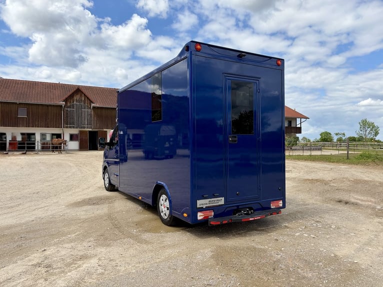 Renault Master RJH Sport 2-Pferdetransporter – neues Modell mit Automatik – sofort verfügbar!