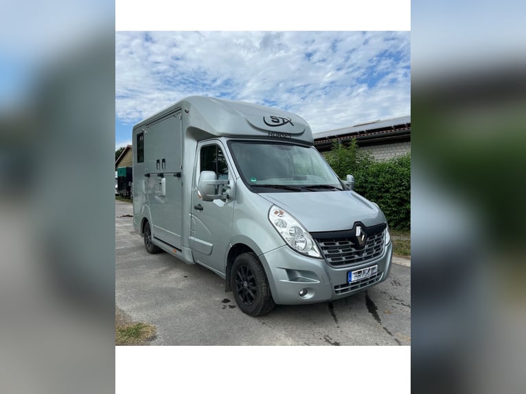 Renault Master STX Pferdetransporter