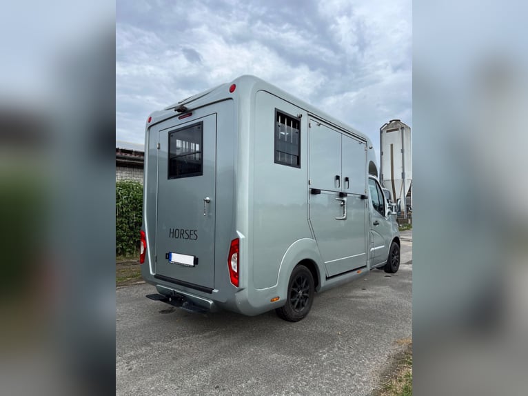 Renault Master STX Pferdetransporter
