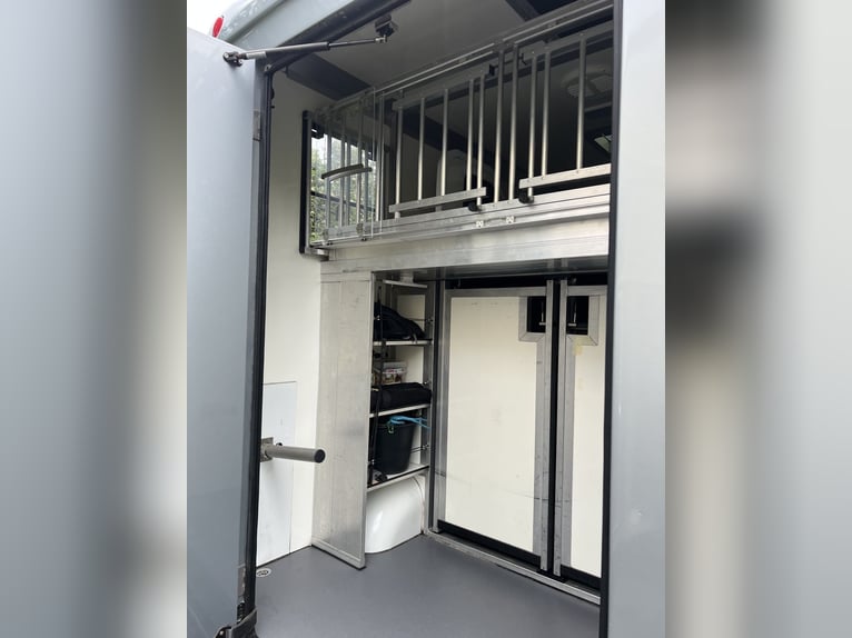 Renault Master STX Pferdetransporter