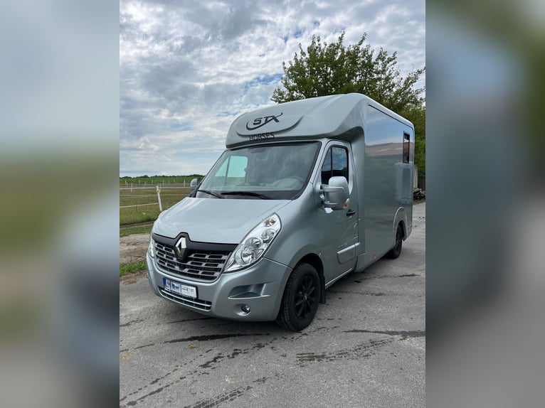Renault Master STX Pferdetransporter