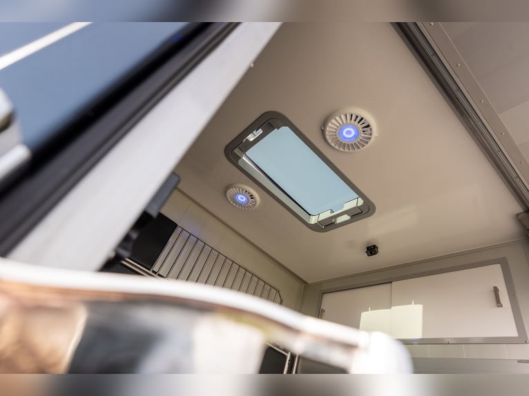 Renault Roelofsen Parados 2-Pferdetransporter Automatik neues Modell 2026