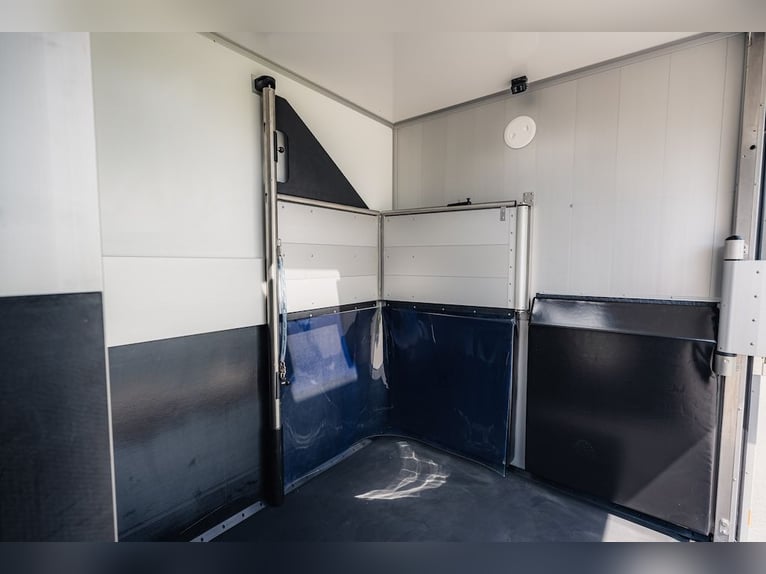 Renault Roelofsen Yorse 2-Pferdetransporter Special Edition LKW