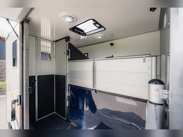 Renault Roelofsen Yorse 2-Pferdetransporter Special Edition LKW