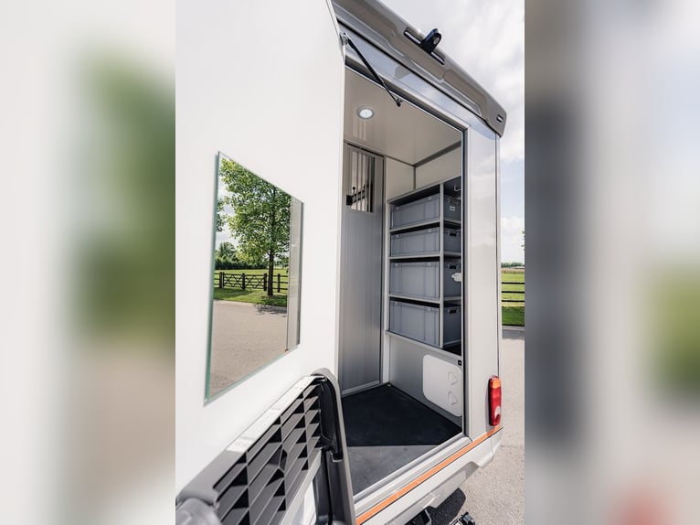 Renault Roelofsen Yorse 2-Pferdetransporter Special Edition LKW