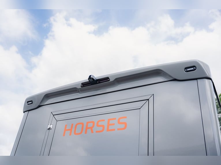 Renault Roelofsen Yorse Special Edition 2-Pferdetransporter Gebrauchtfahrzeug Schaltgetriebe Mautfre