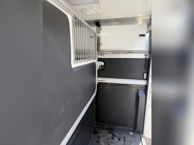 STX Pferdetransporter Renault Master Automatik 180 PS