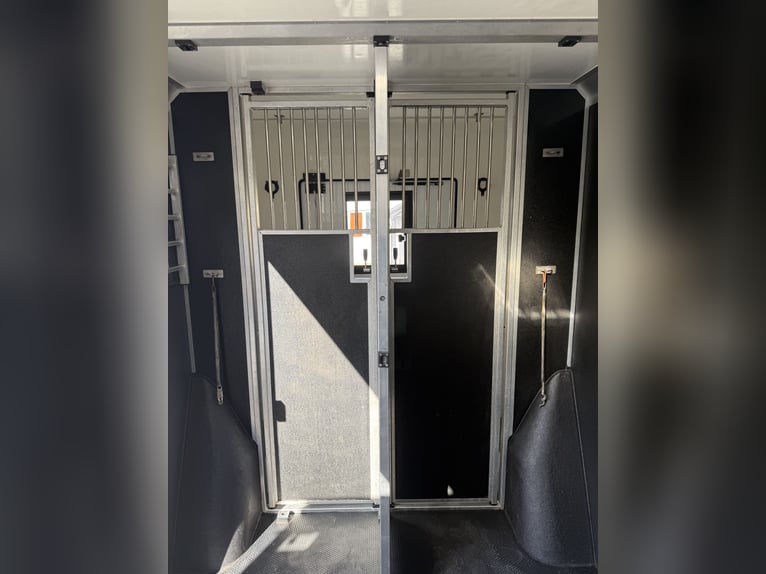 STX Pferdetransporter Renault Master Automatik 180 PS
