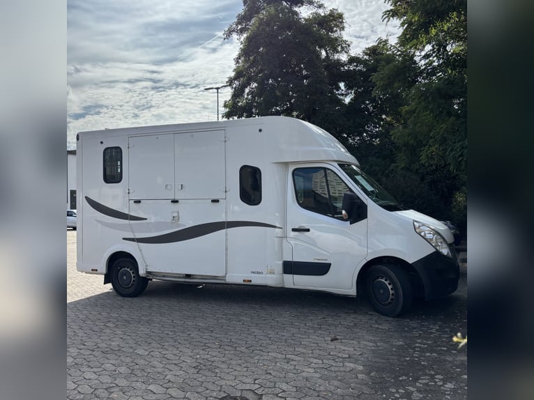 Transporter für 2 Pferde
