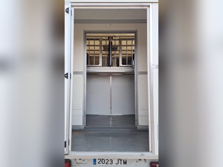 Transporter für 2 Pferde, Traylona, Renault Master
