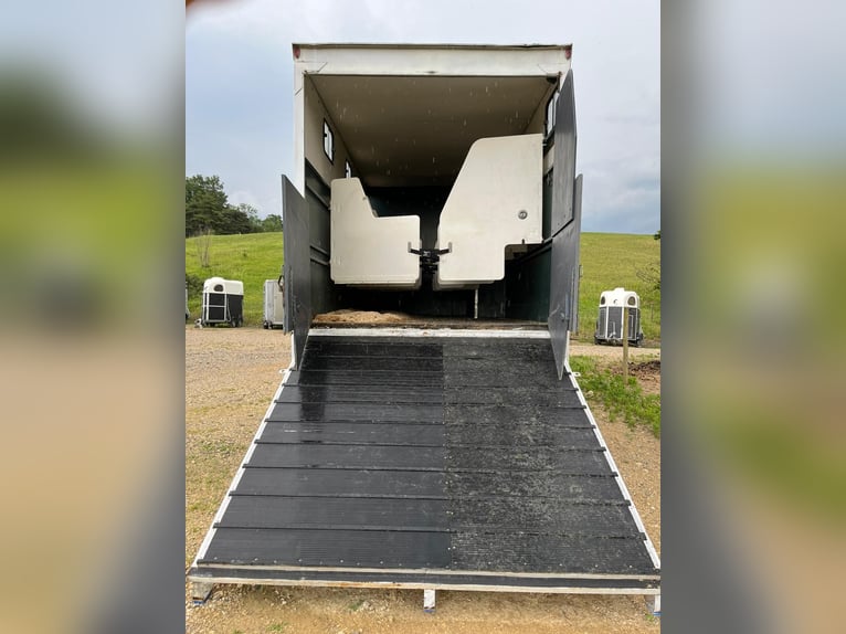 Transporter Pferde
