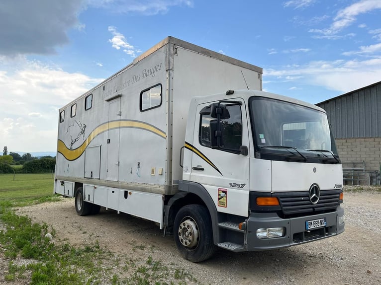 Transporter Pferde