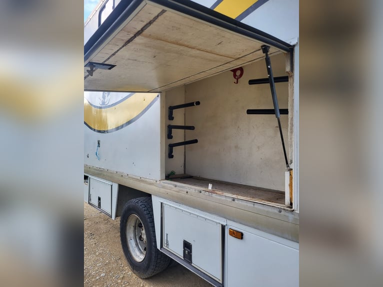 Transporter Pferde