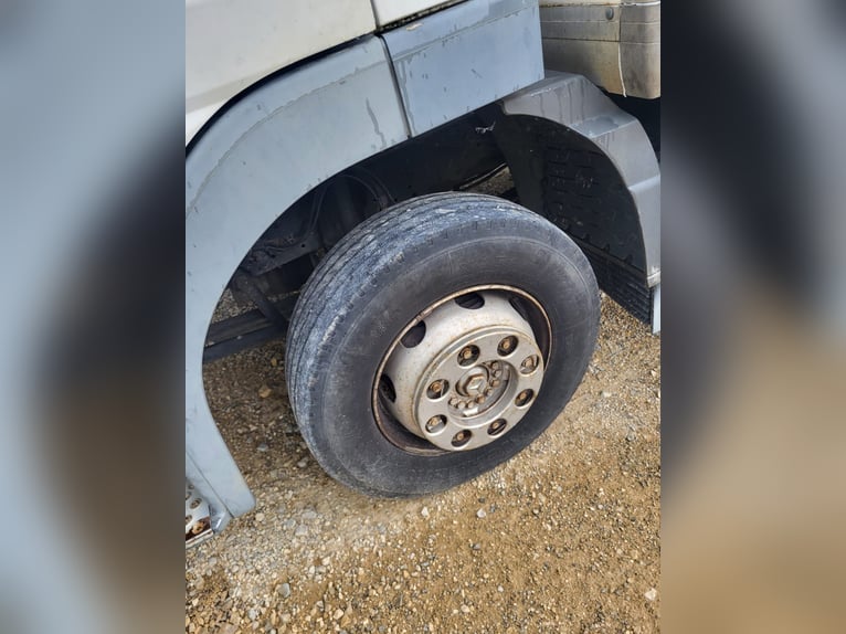 Transporter Pferde