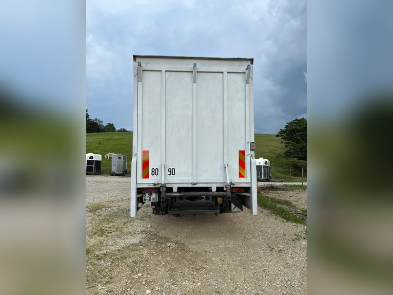 Transporter Pferde