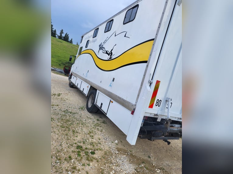 Transporter Pferde