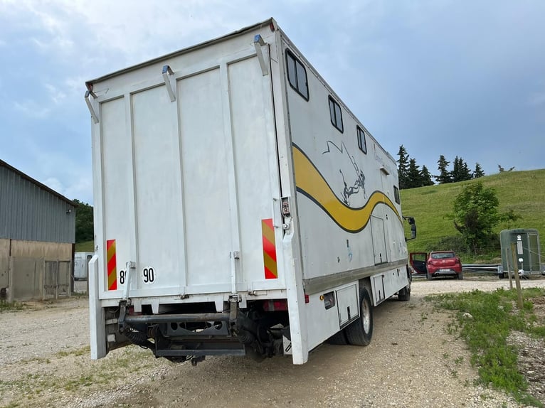 Transporter Pferde