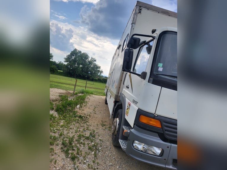 Transporter Pferde