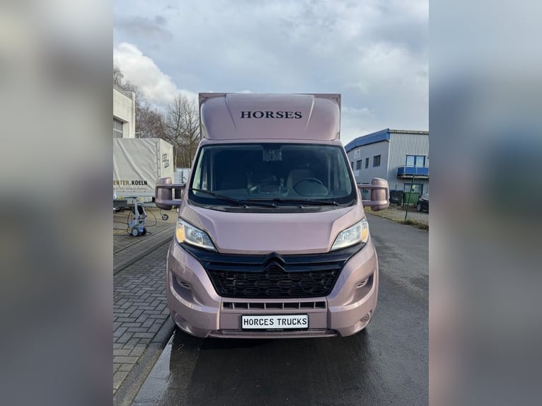 TVW Semental Pferdetransporter 3,5t – Citroën Jumper – Nur 30.000 km – TÜV NEU – Dach-Klima