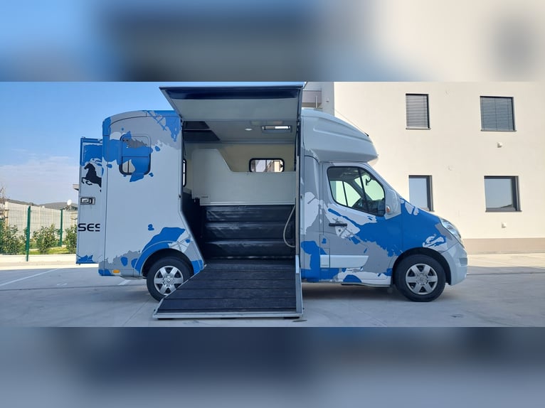 Zum Verkauf steht Pferdetransporter Paragan Equistar 3
