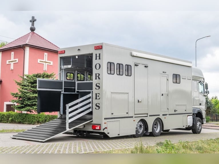 Koniowóz DAF XF 480 / EURO 6 / zabudowa specjalna na 4 KONIE