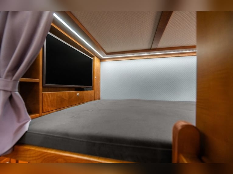 Koniowóz DAF XF 480 / EURO 6 / zabudowa specjalna na 4 KONIE