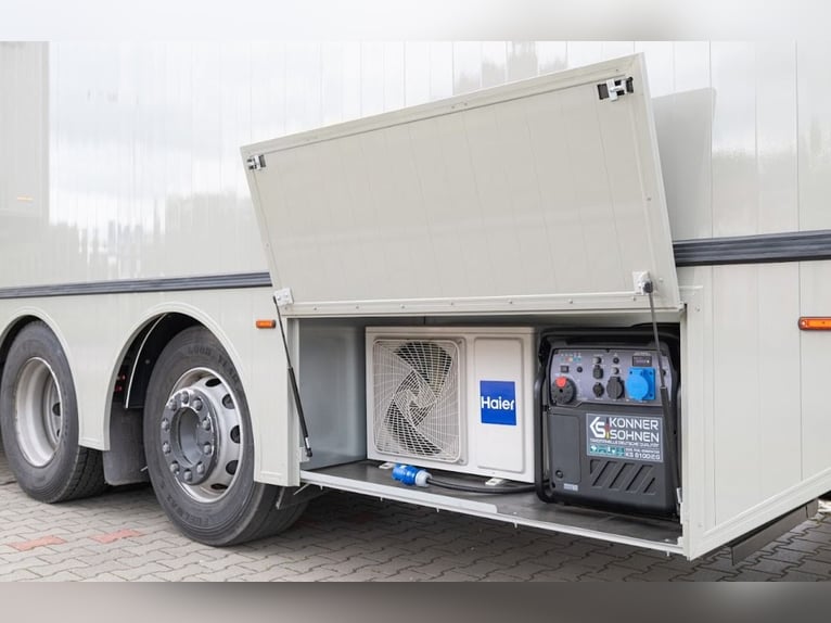 Koniowóz DAF XF 480 / EURO 6 / zabudowa specjalna na 4 KONIE