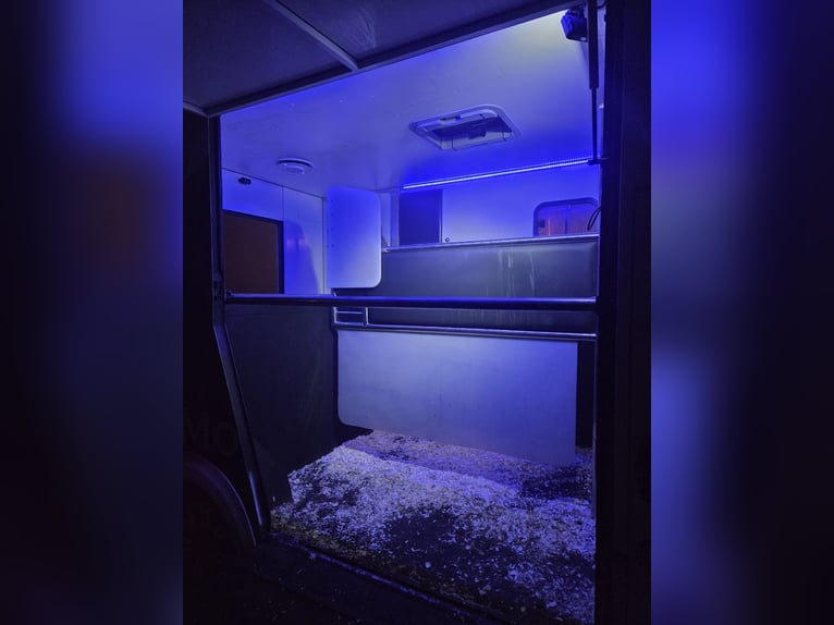 Kutschwagen für 2 Pferde – Top Zustand