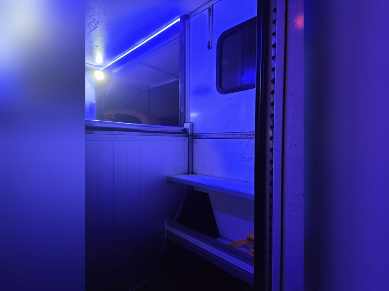 Kutschwagen für 2 Pferde – Top Zustand