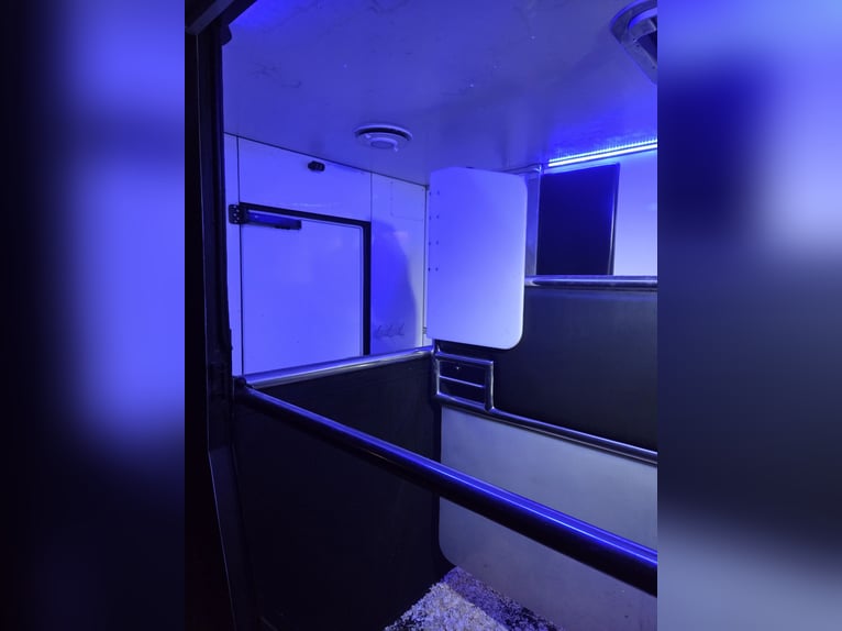 Kutschwagen für 2 Pferde – Top Zustand