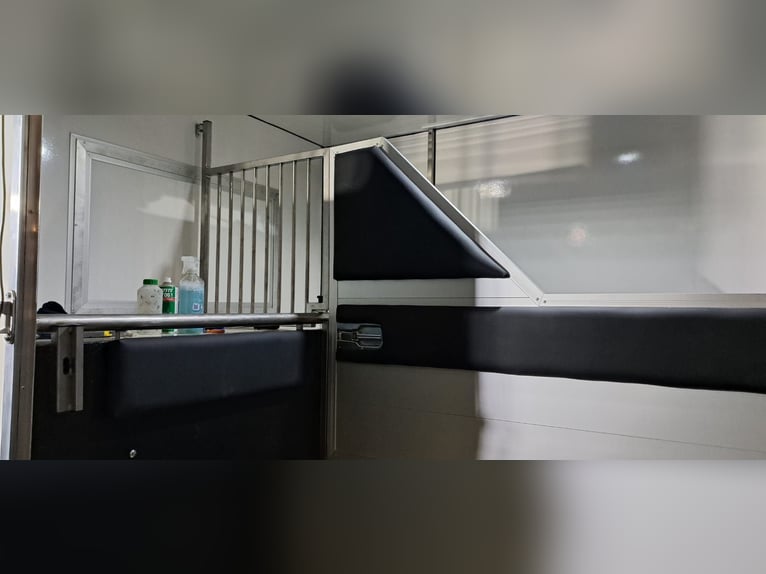 Kutschwagen Renault Master 2,3 – Top-Zustand