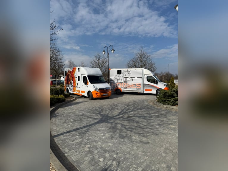 Kutschwagen Renault Master 2,3 – Top-Zustand