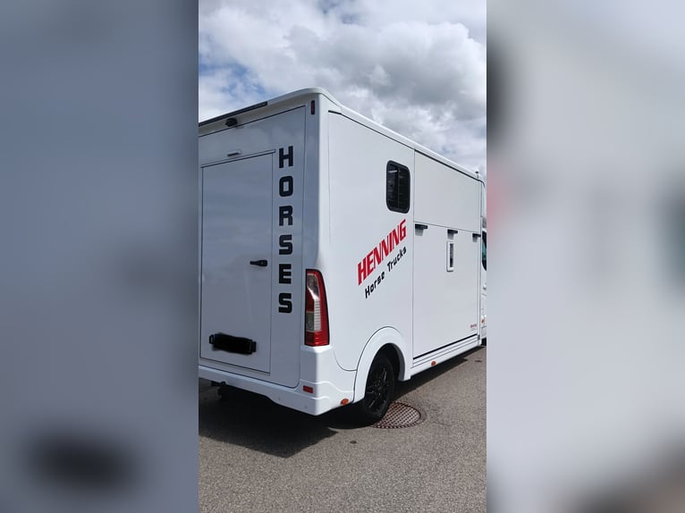 2 Pferdetransporter Horsetruck Henning Top neu