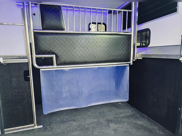 2 Pferdetransporter Horsetruck Henning Top neu