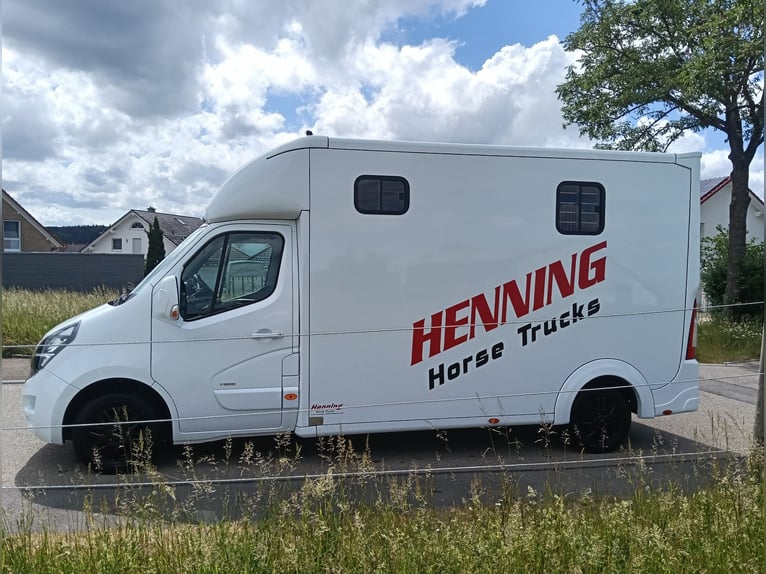 2 Pferdetransporter Horsetruck Henning Top neu