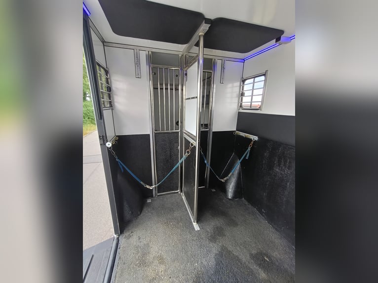 2 Pferdetransporter Horsetruck Henning Top neu
