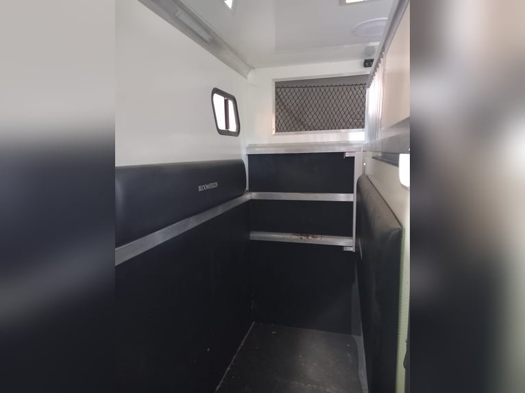 5t Bloomfield 2 Pferdetransporter mit Wohnung