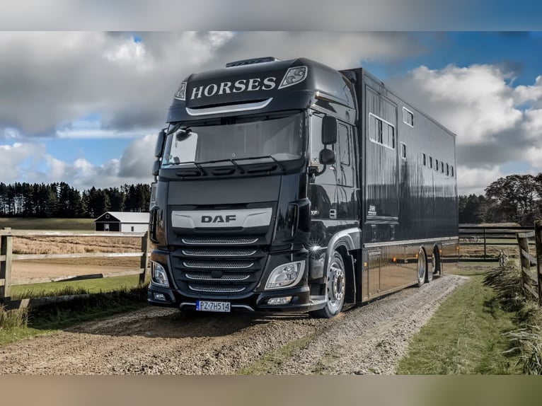 DAF XF 480, Baujahr 2021 + Neue Aufliegebox 2026, PREMIUM, zugelassen für 4 Personen